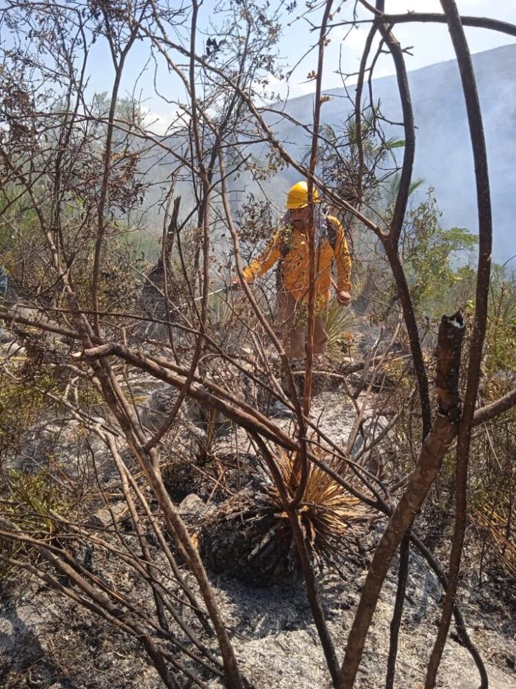 Aparece nuevo incendio forestal, ahora en el ejido “Lucio Vázquez” de Tula