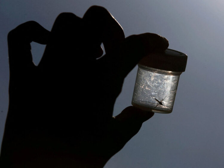 Detectan 5 casos casos de malaria en Florida y Texas, los primeros en décadas en EU