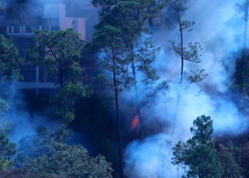 Incendios forestales dañan 10 mil hectáreas en sierra de Madera, Chihuahua