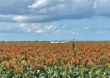 Aterrizaje forzoso de avioneta en Texas