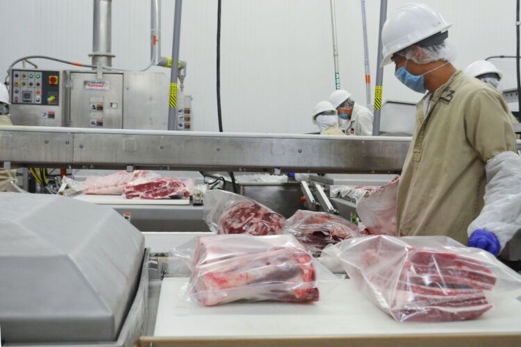 Certificará SENASICA con Alto Desempeño a 5 Rastros de Porcinos Tipo Inspección Federal de México