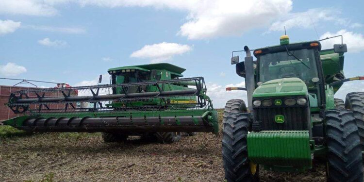 Alerta en carreteras de Tamaulipas por circulación de 500 trilladoras y 2 mil camiones sorgueros