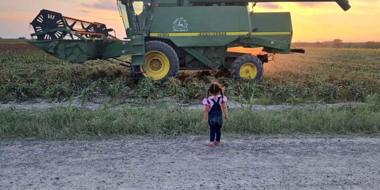 Alerta en carreteras de Tamaulipas por circulación de 500 trilladoras y 2 mil camiones sorgueros