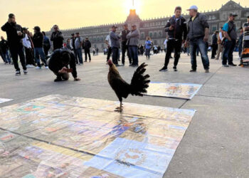 Galleros protestan en el Zócalo CDMX y exigen ‘respeto’ a peleas de gallos