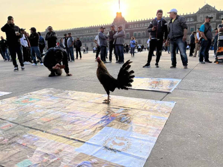 Galleros protestan en el Zócalo CDMX y exigen ‘respeto’ a peleas de gallos
