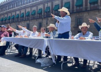Se plantan productores de sorgo, maíz y trigo en zócalo; exigen precios de garantía a AMLO