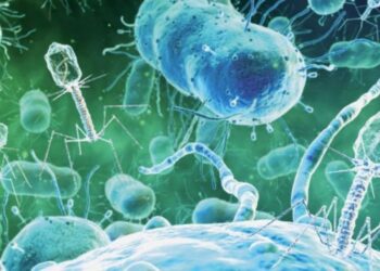 OMS se prepara para la propagación de enfermedades víricas relacionadas con El Niño