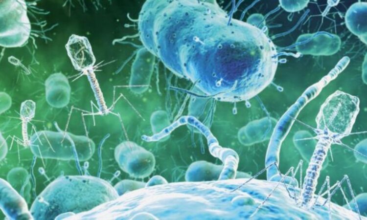 OMS se prepara para la propagación de enfermedades víricas relacionadas con El Niño