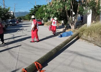 Poste le cae encima a obrero de 20 años y lo mata