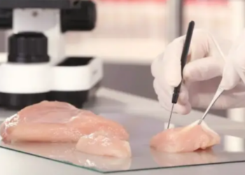 EU aprueba la venta de pollo cultivado en laboratorio