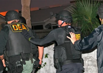 Desmantelan organización criminal que operaba en Texas