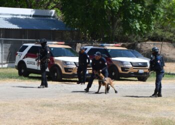 Desempeñan elementos caninos labor destacada dentro de la Guardia Estatal