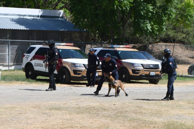 Desempeñan elementos caninos labor destacada dentro de la Guardia Estatal