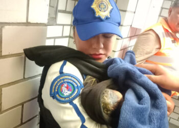 Joven de 17 años da a luz mientras viajaba en el Metro de la Ciudad de México