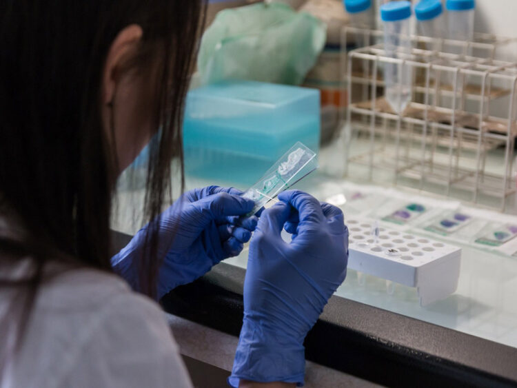 Virus de Papiloma Humano causa cáncer de cabeza y cuello, alerta el ISSSTE