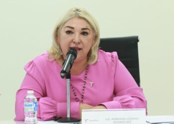 Llegan a Tamaulipas 710millones de pesos para pavimentación: Adriana Lozano