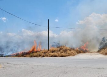 Alerta Protección Civil por incendios en lotes baldíos de Victoria