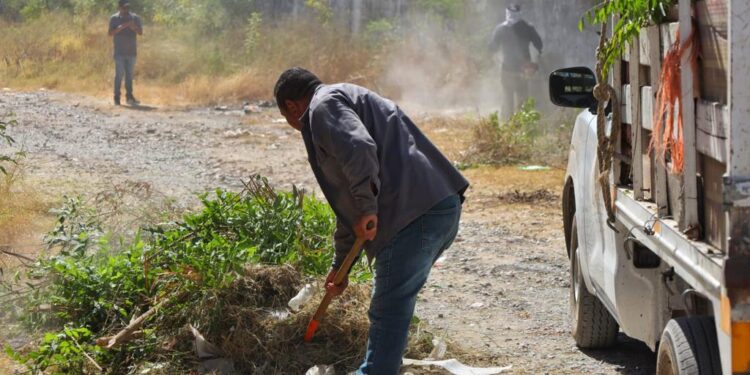 Intensifica Gobierno Municipal acciones para mejorar imagen urbana de Victoria.