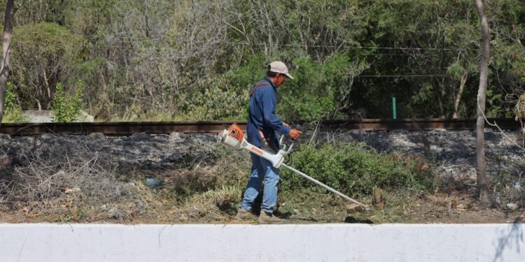 Intensifica Gobierno Municipal acciones para mejorar imagen urbana de Victoria.