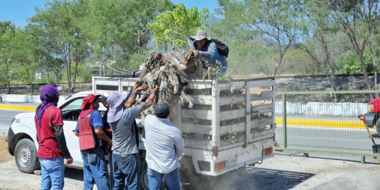 Intensifica Gobierno Municipal acciones para mejorar imagen urbana de Victoria.