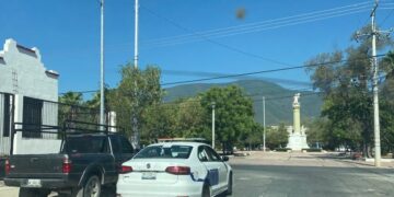 Patrullas de Tránsito de Victoria circulan con placas vencidas