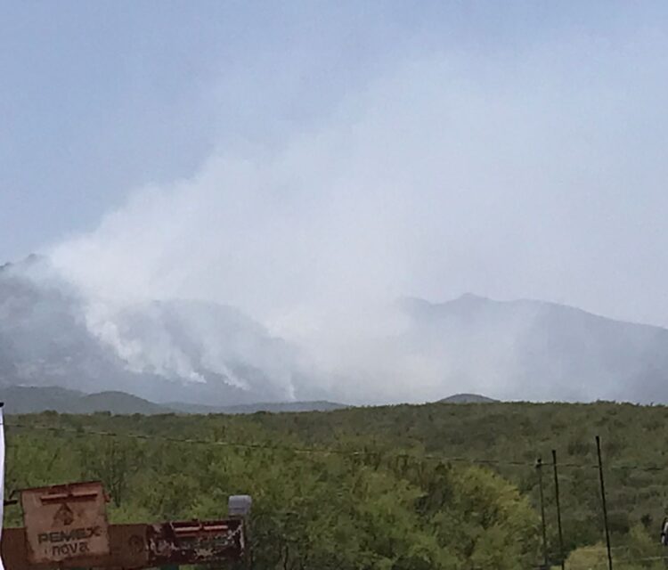 Incendio forestal devora 15 hectáreas en Cerro del Diente en San Carlos