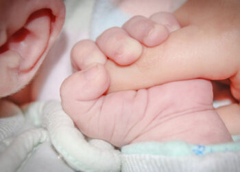 Niño de 5 años, estando drogado, le dispara a su hermano de 16 meses; detienen a los padres