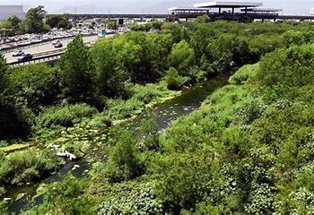 Llaman a frenar devastación en el río Santa Catarina de Nuevo León