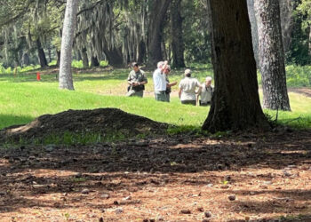 Lagarto mata a mujer en Carolina del Sur