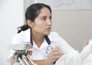 Descubren especies de hormigas de importancia para la criminalística