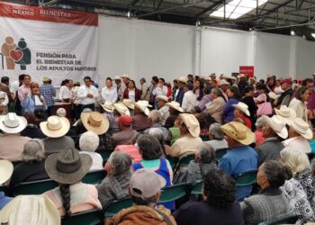 Pensiones acaparan recursos de protección social en el presupuesto federal 2024