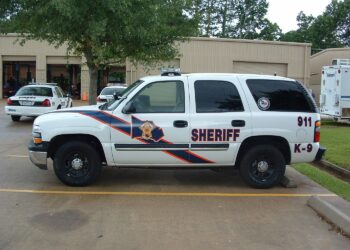 Redada en Texas caen 28 depredadores sexuales