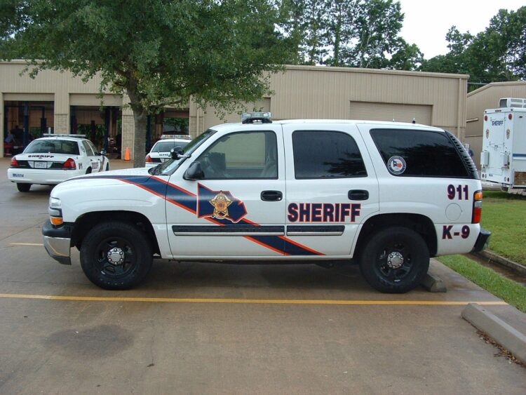 Redada en Texas caen 28 depredadores sexuales