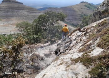 Protección Civil y CONAFOR extinguen incendio forestal en San Carlos