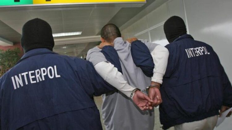 Detiene Interpol a 14 terroristas