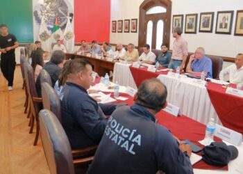 Preparan programa  vial para reducir riesgos en los cruces peatonales en Victoria