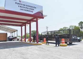 Tamaulipas refuerza vigilancia zoosanitaria en límites con Nuevo León ante desplome de su sanidad bovina
