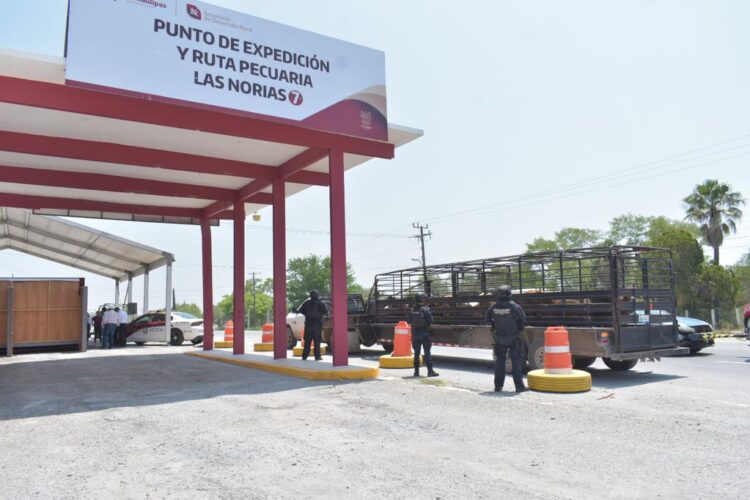 Tamaulipas refuerza vigilancia zoosanitaria en límites con Nuevo León ante desplome de su sanidad bovina
