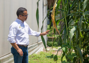 Participa la UAT en el desarrollo de la agricultura de Tamaulipas