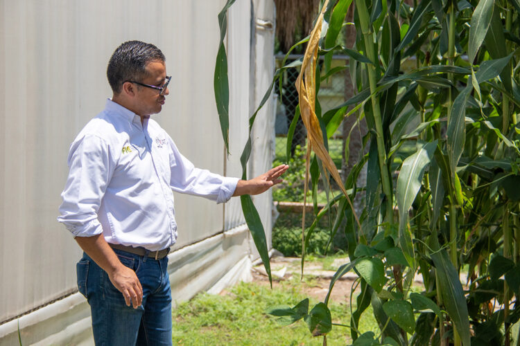 Participa la UAT en el desarrollo de la agricultura de Tamaulipas