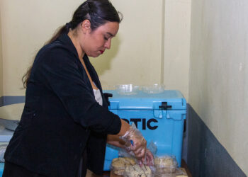 Promueve la UAT la alimentación saludable a base de pescado