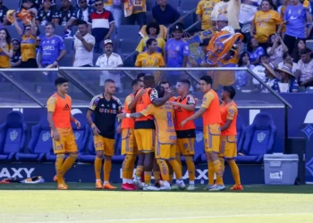 Tigres y Feyenoord unen fuerzas en el fútbol