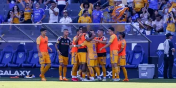 Tigres y Feyenoord unen fuerzas en el fútbol