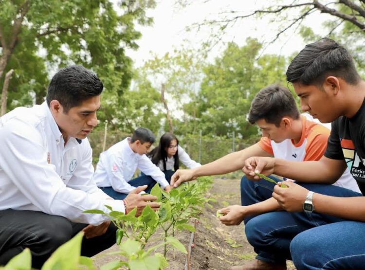 Impulsa la UAT sustentabilidad ambiental