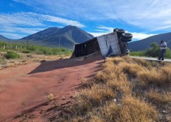Vuelva trailer cargado con sorgo