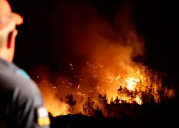 Más de 50.000 hectáreas fueron arrasadas por incendios en Italia