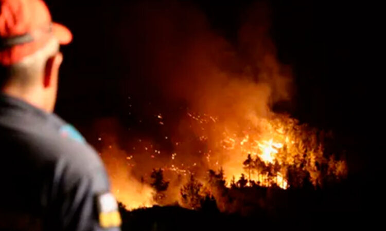 Más de 50.000 hectáreas fueron arrasadas por incendios en Italia
