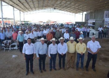 Arranca programa de mejoramiento genético para ganadería tamaulipeca