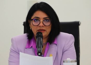 Plantean reforma a Ley de Desarrollo Urbano para fomentar techos verdes y jardines verticales