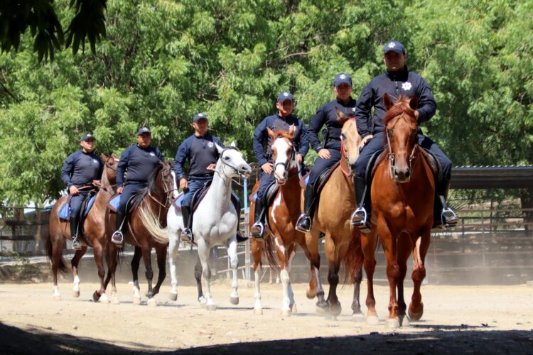 Jinetes de la Guardia Estatal preservan seguridad en áreas rurales y naturales